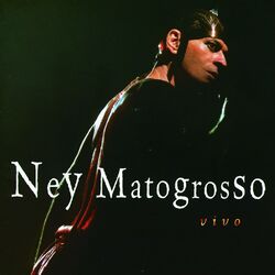 Cover of Ney Matogrosso Ao Vivo