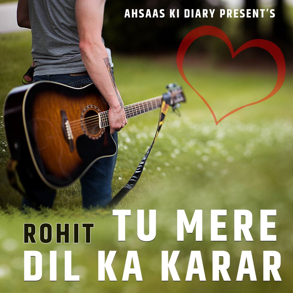Picture of Tu Mere Dil Ka Karar