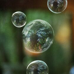 Cover of Greener