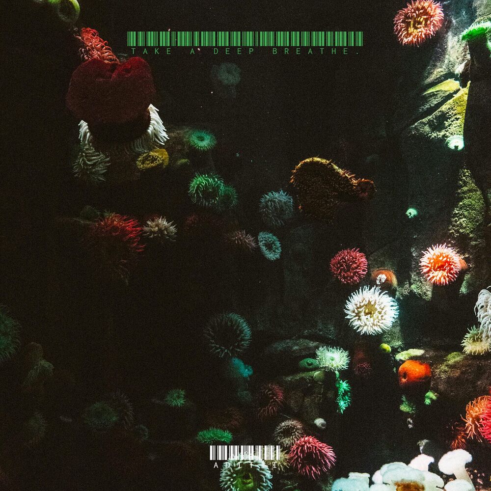 Picture of Take a Deep Breathe.