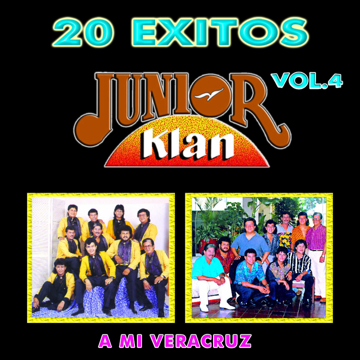 Album cover of A Mi Veracruz, Vol.4 (20 Éxitos)