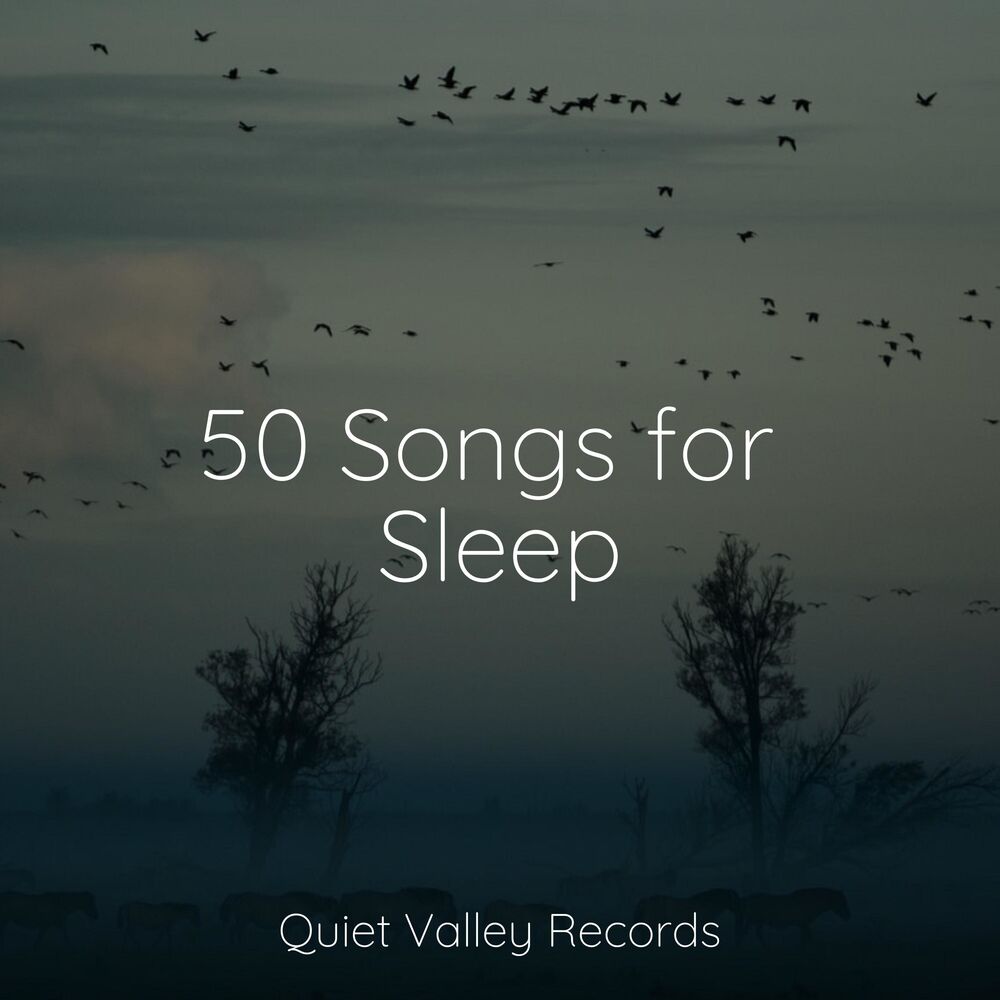 Picture of 50 Songs for Sleep