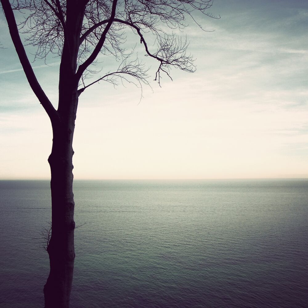Picture of Sense of Life