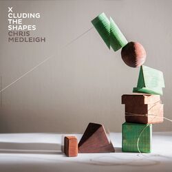 Cover of X Cluding The Shapes