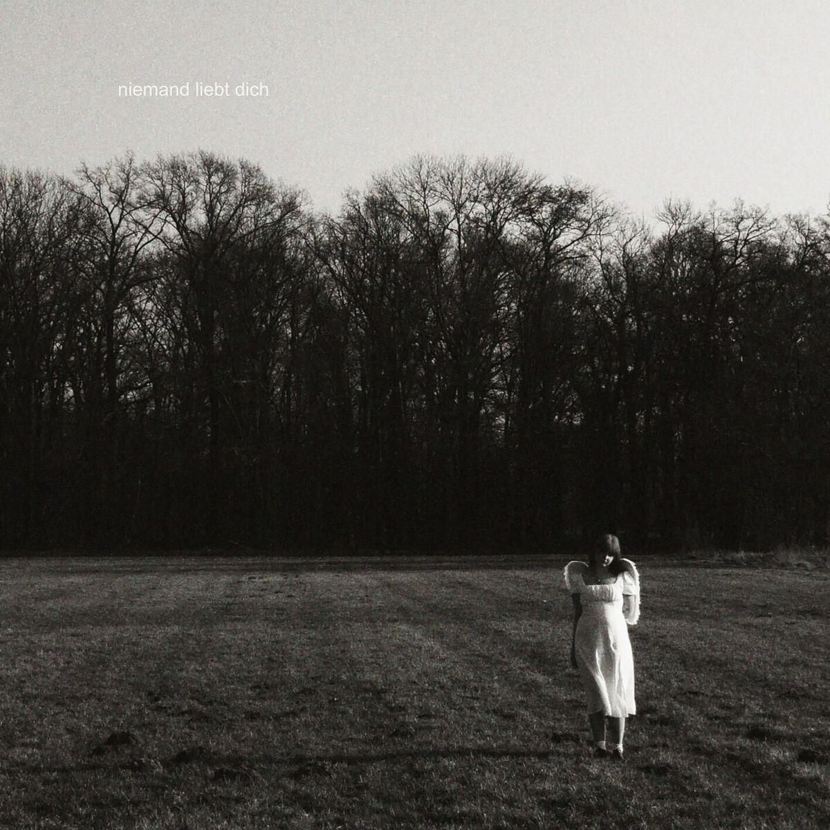 Album cover of Niemand Liebt Dich