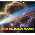 What We Have In Common