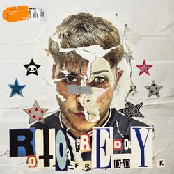 Cover of Roto