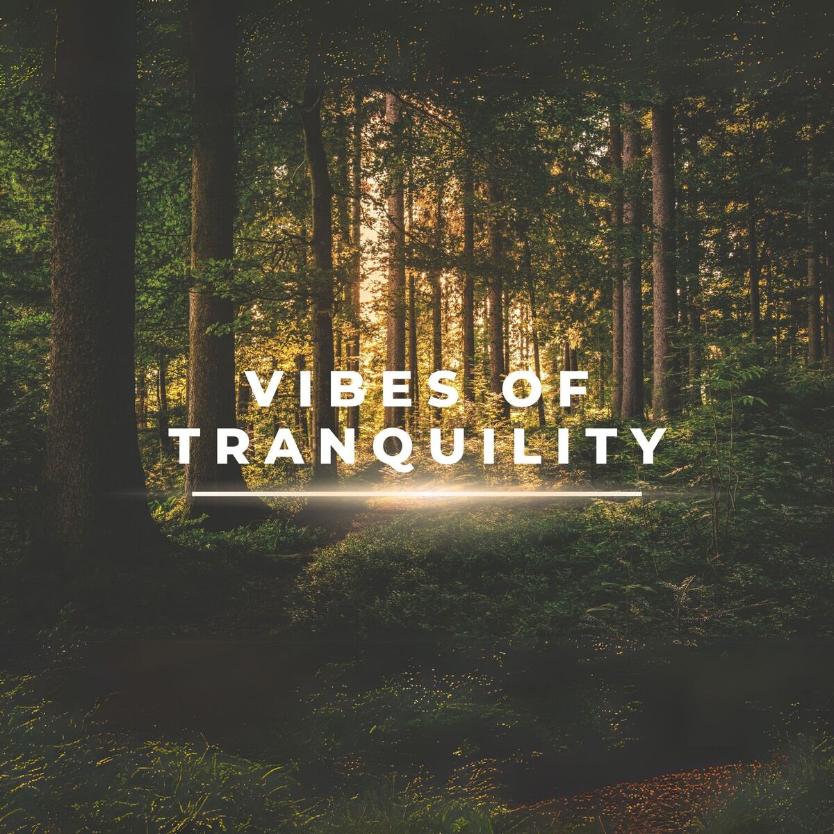 Album cover of Vibes of tranquility
