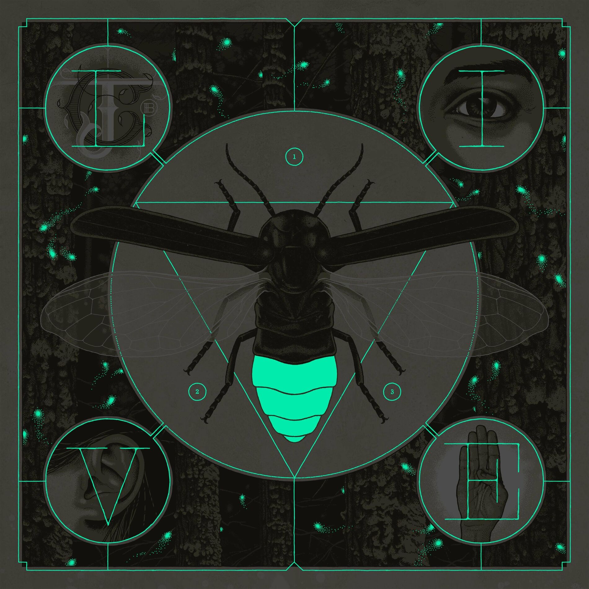 Album cover of Brighten (Live)