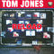 Sexbomb by Tom Jones album cover