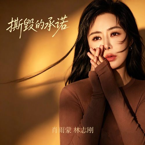 撕毁的承诺 (对唱版)