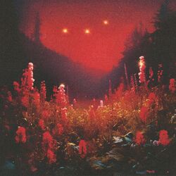 Cover of SUPERBLOOM