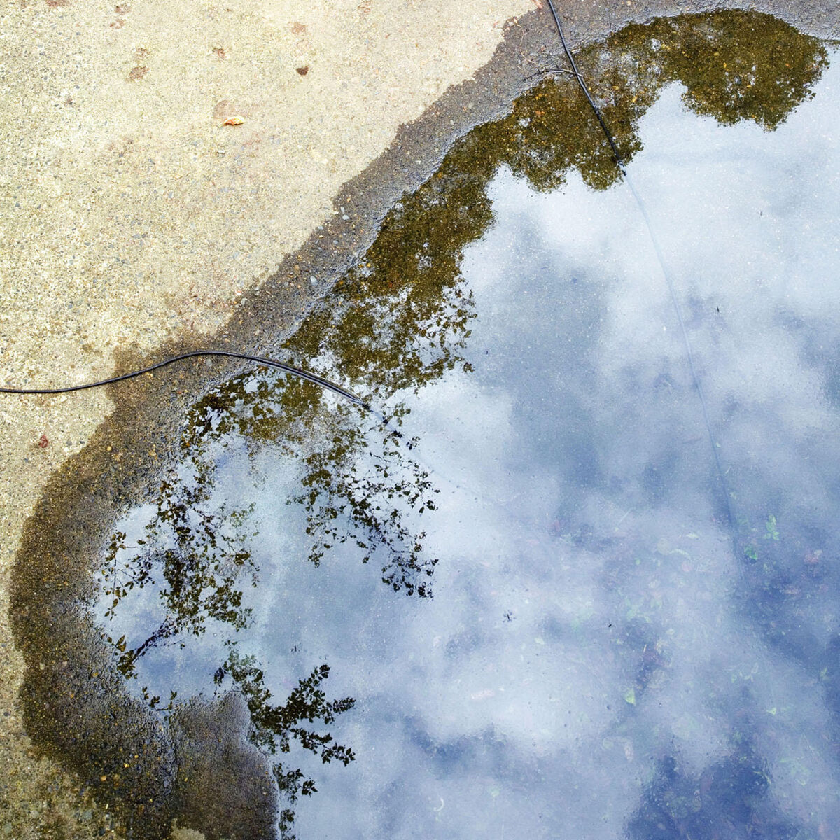 Album cover of The World