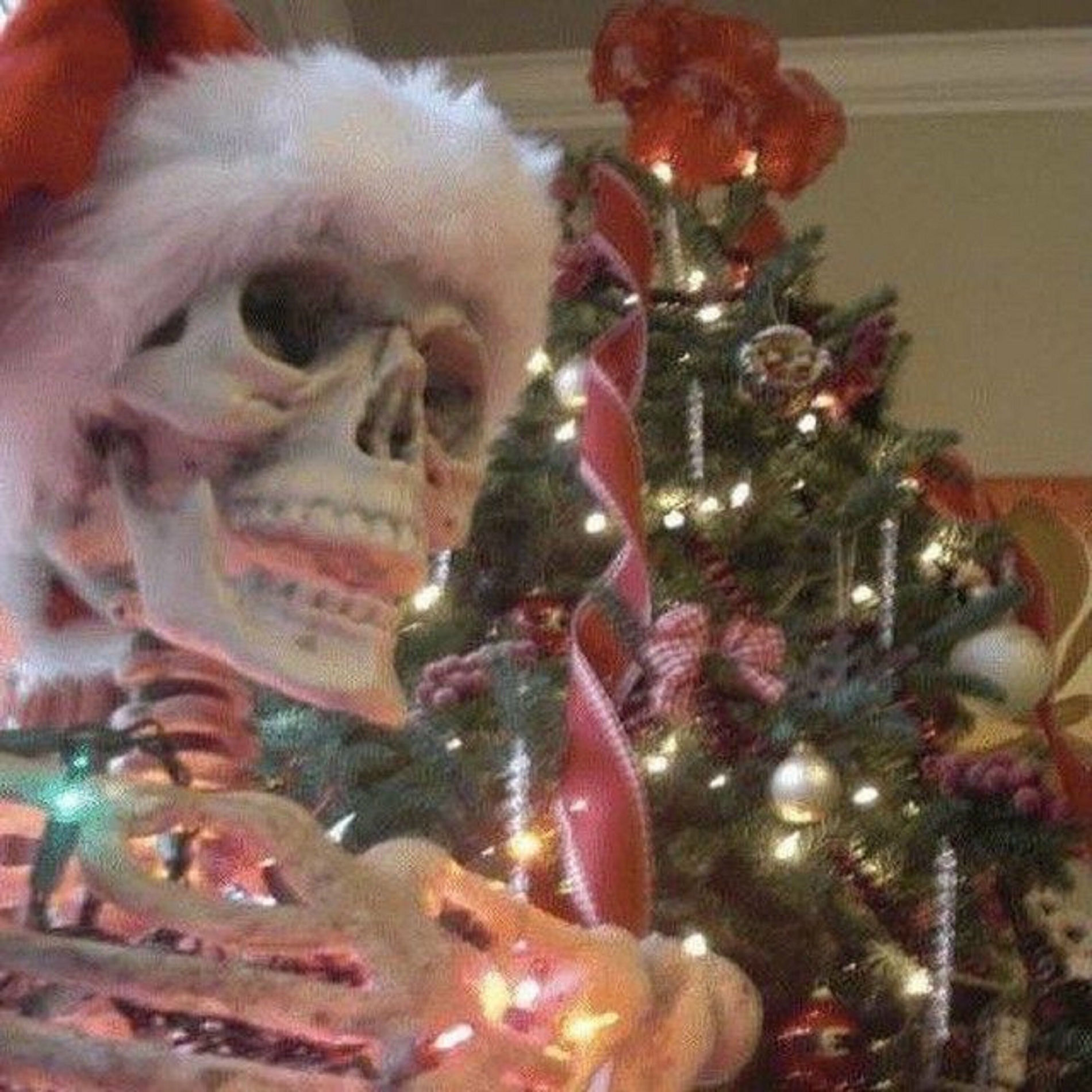 Album cover of FUNK DO CHRISTMAS