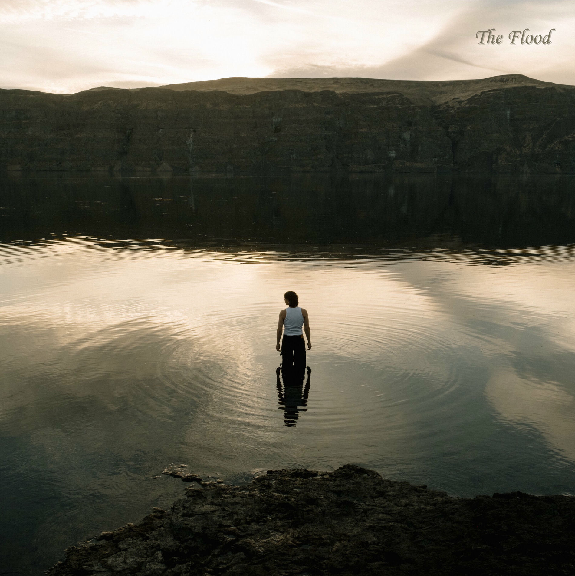 Album cover of The Flood