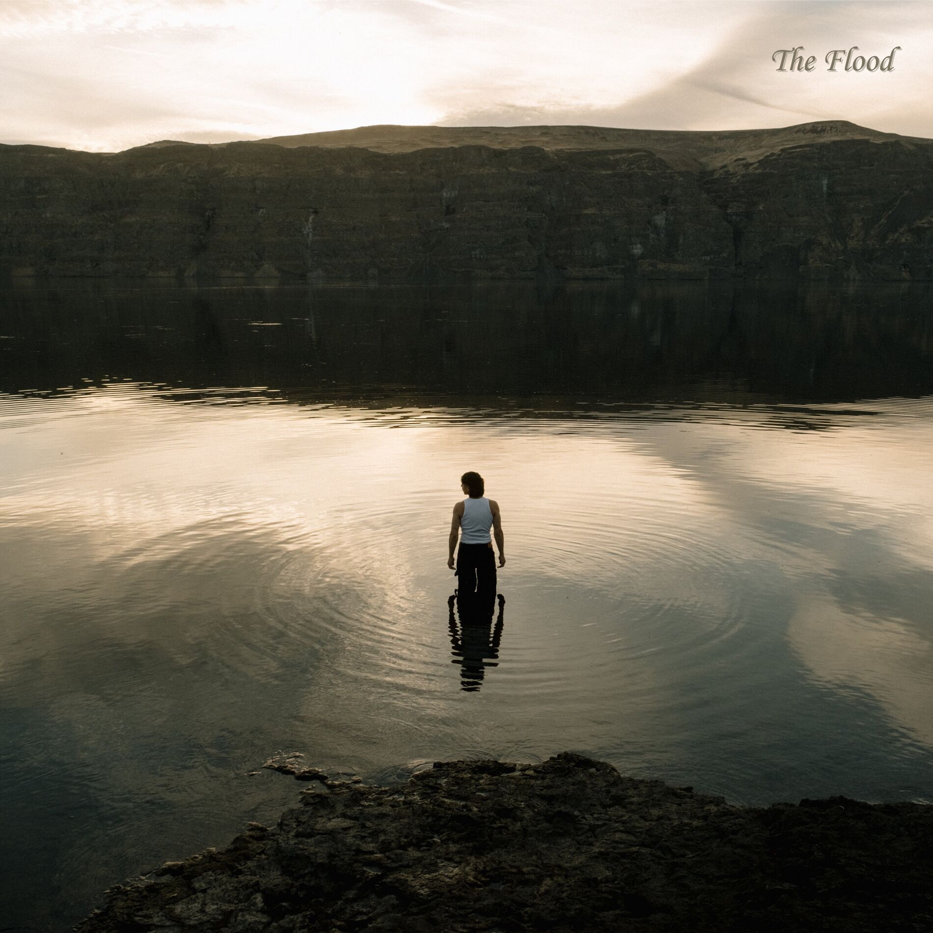 Album cover of The Flood