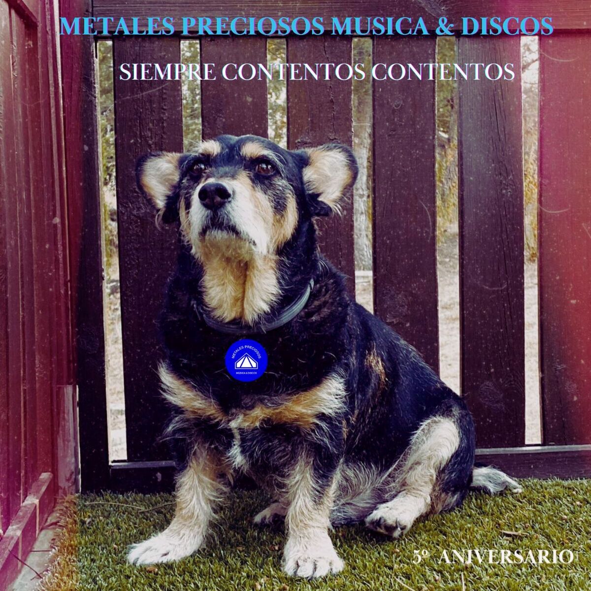 Album cover of Metales Preciosos 5º Aniversario