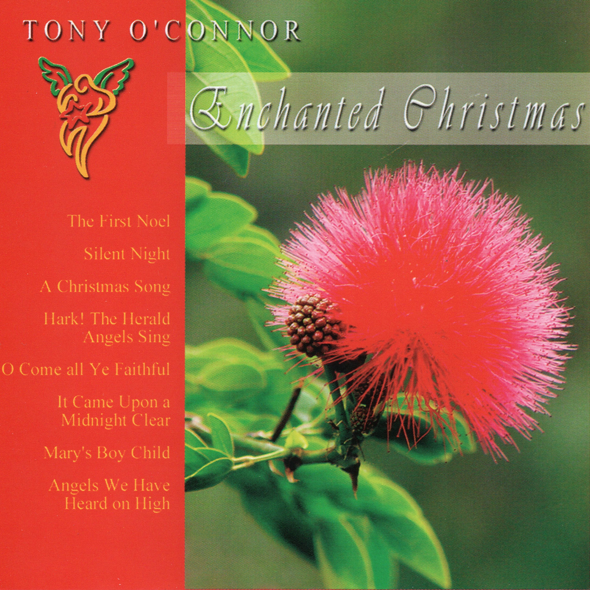 Album cover of Enchanted Christmas