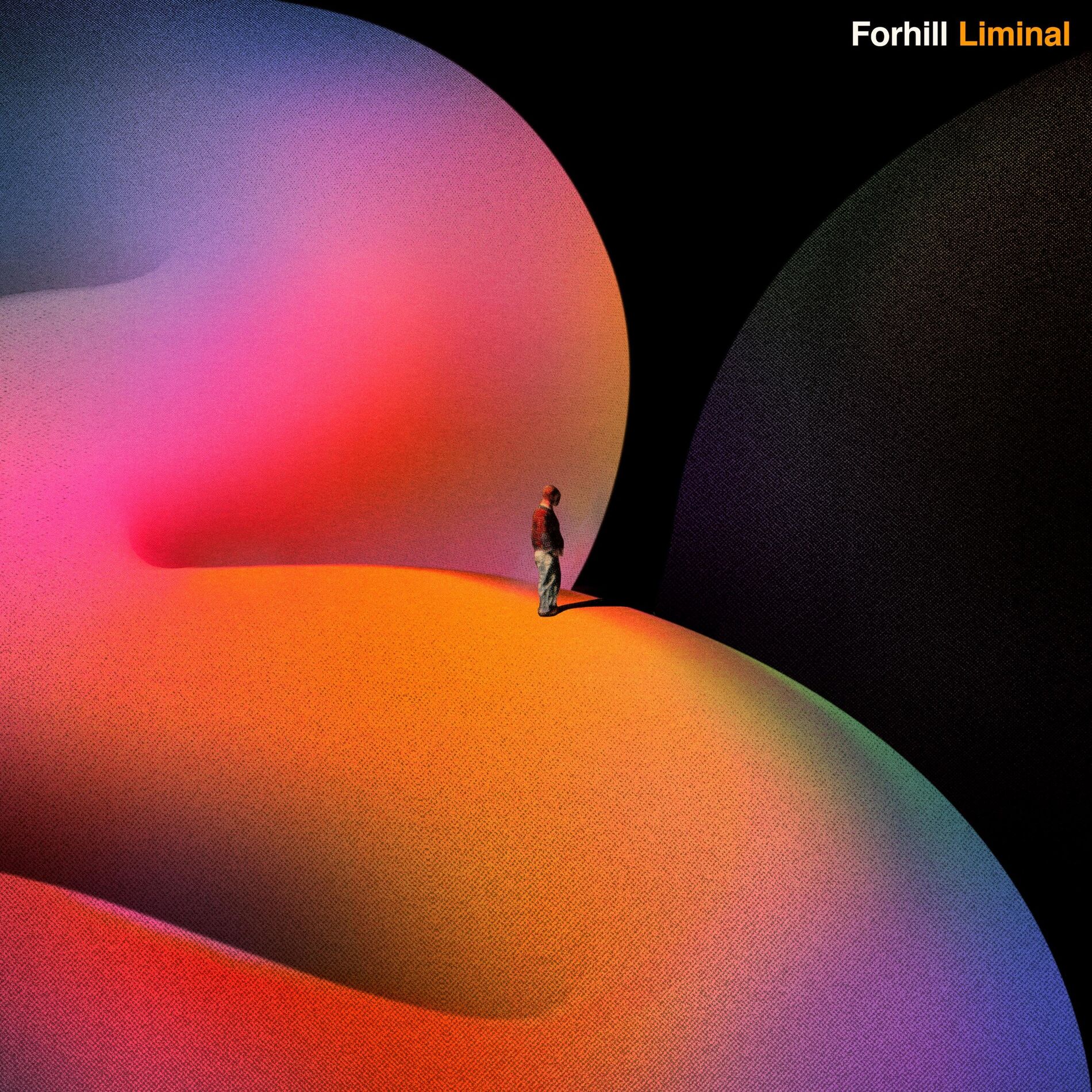 Album cover of Liminal