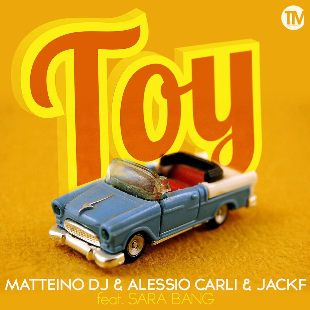 Picture of Toy