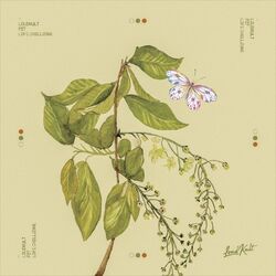 Cover of Lofi Chillzone