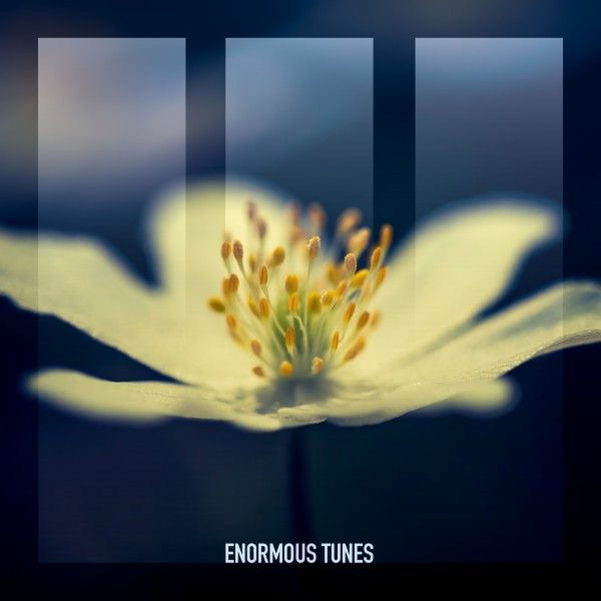 Album cover of Loyalty