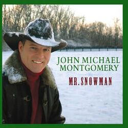 Cover of Mr. Snowman