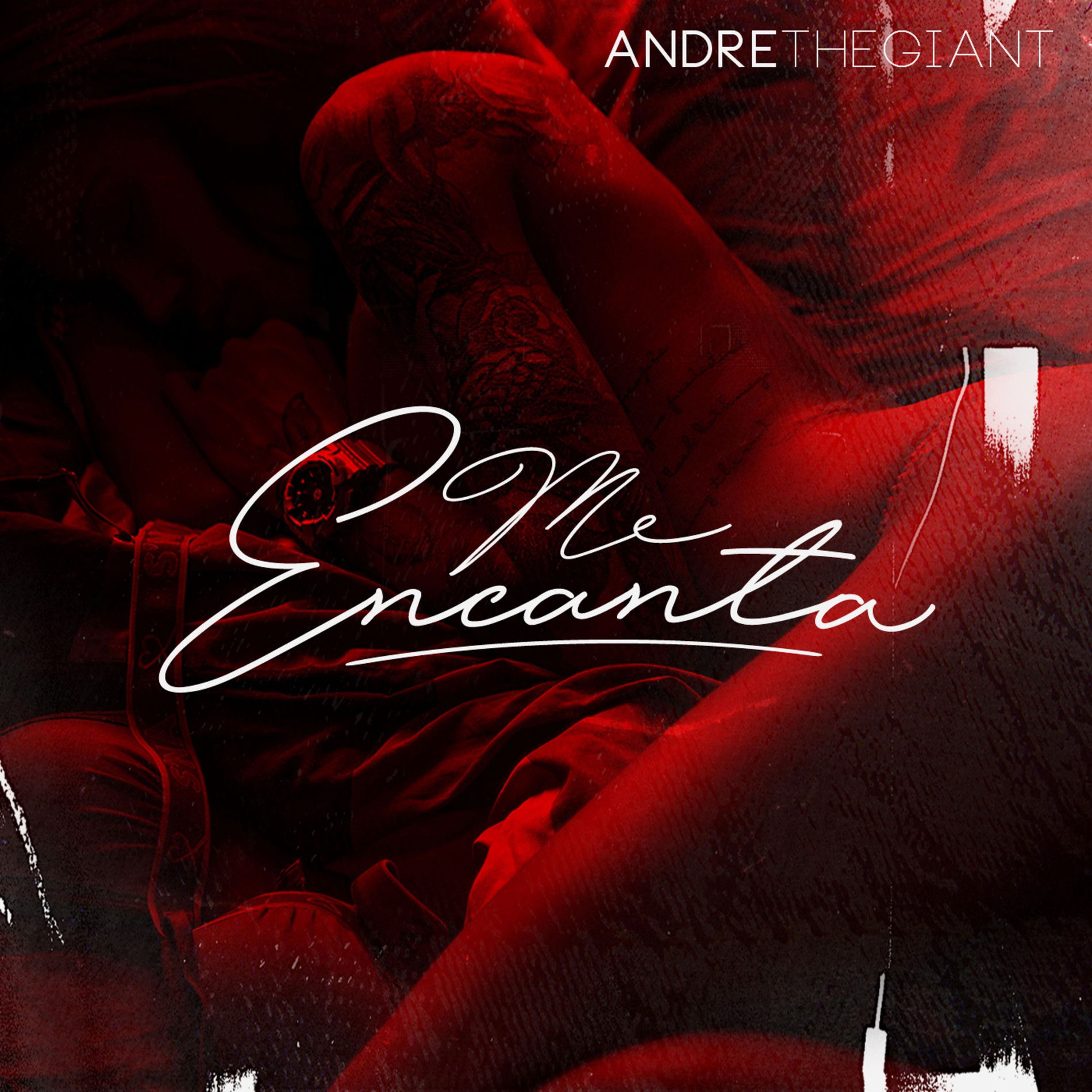 Album cover of Me Encanta