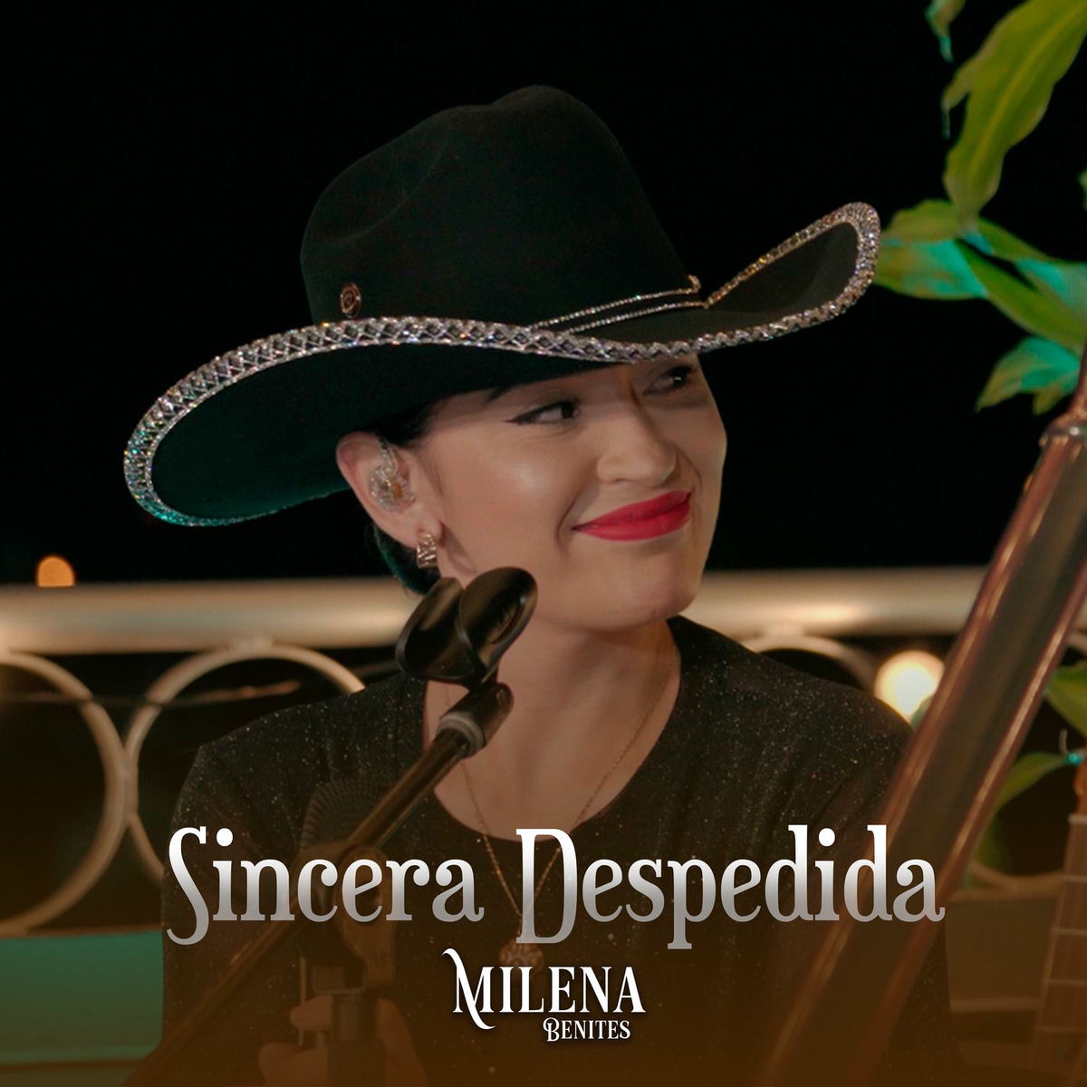 Album cover of Sincera Despedida