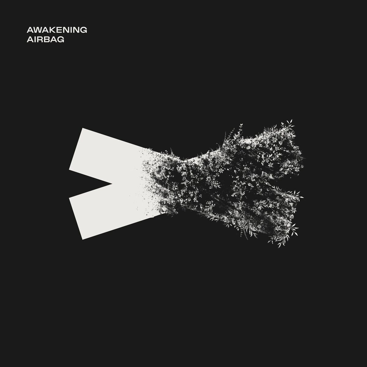 Album cover of Awakening