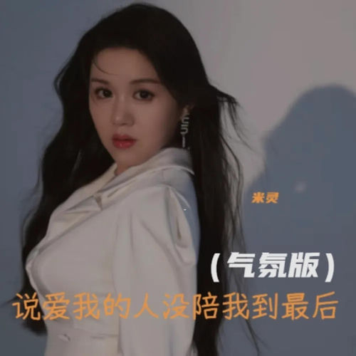 说爱我的人没陪我到最后 (气氛版)