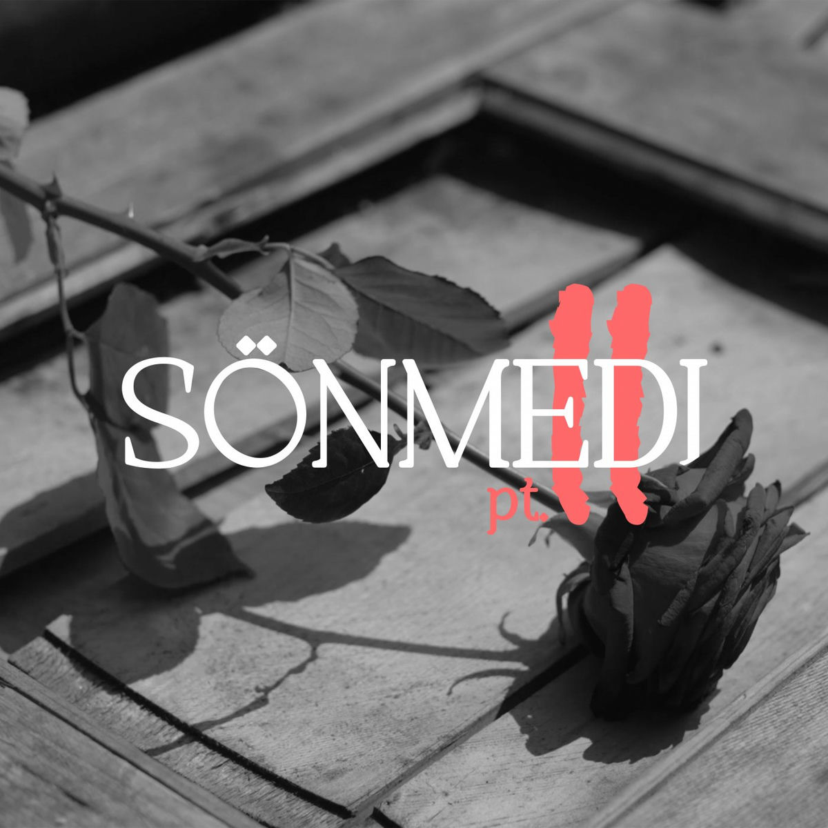 Album cover of Sönmedi 2
