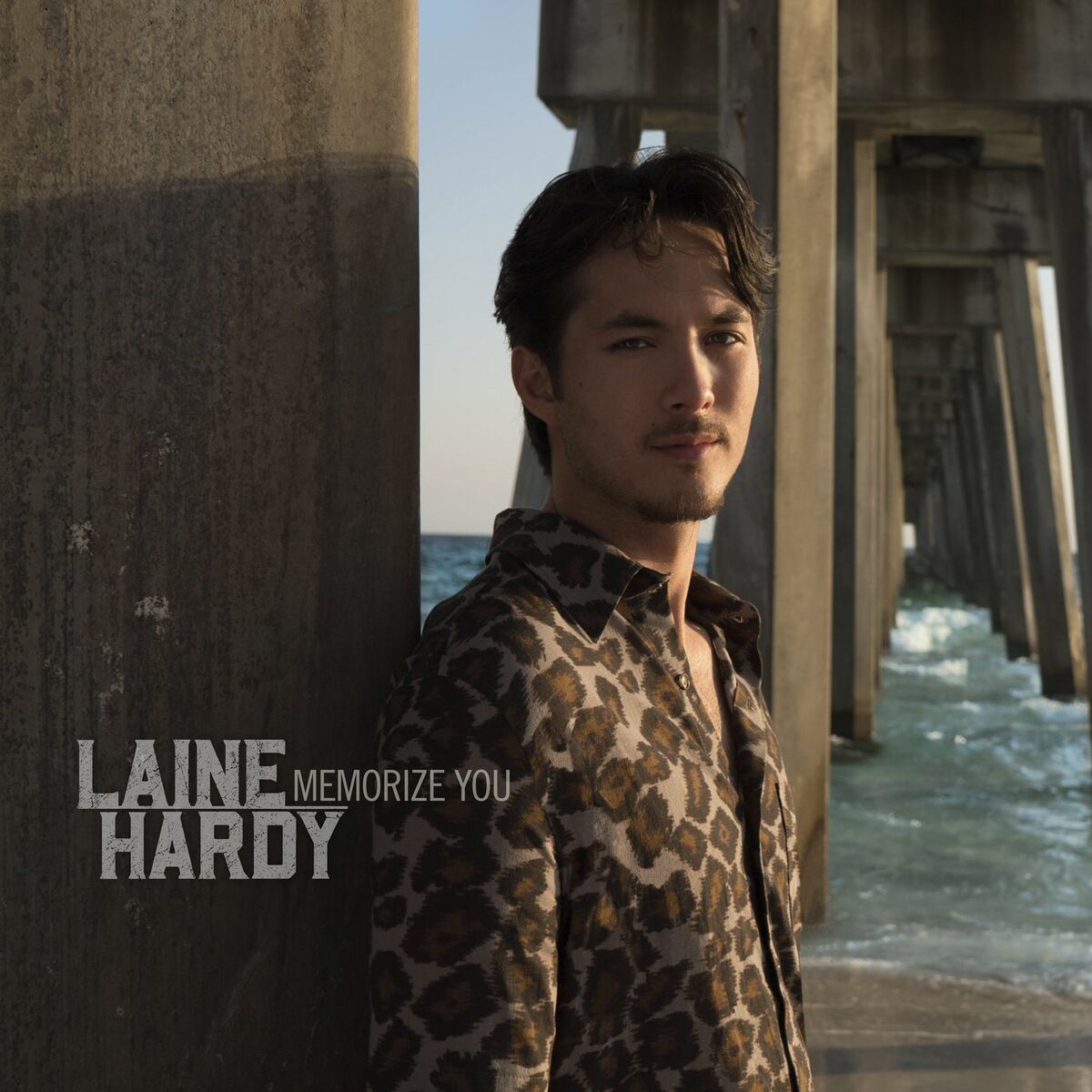 Album cover of Memorize You