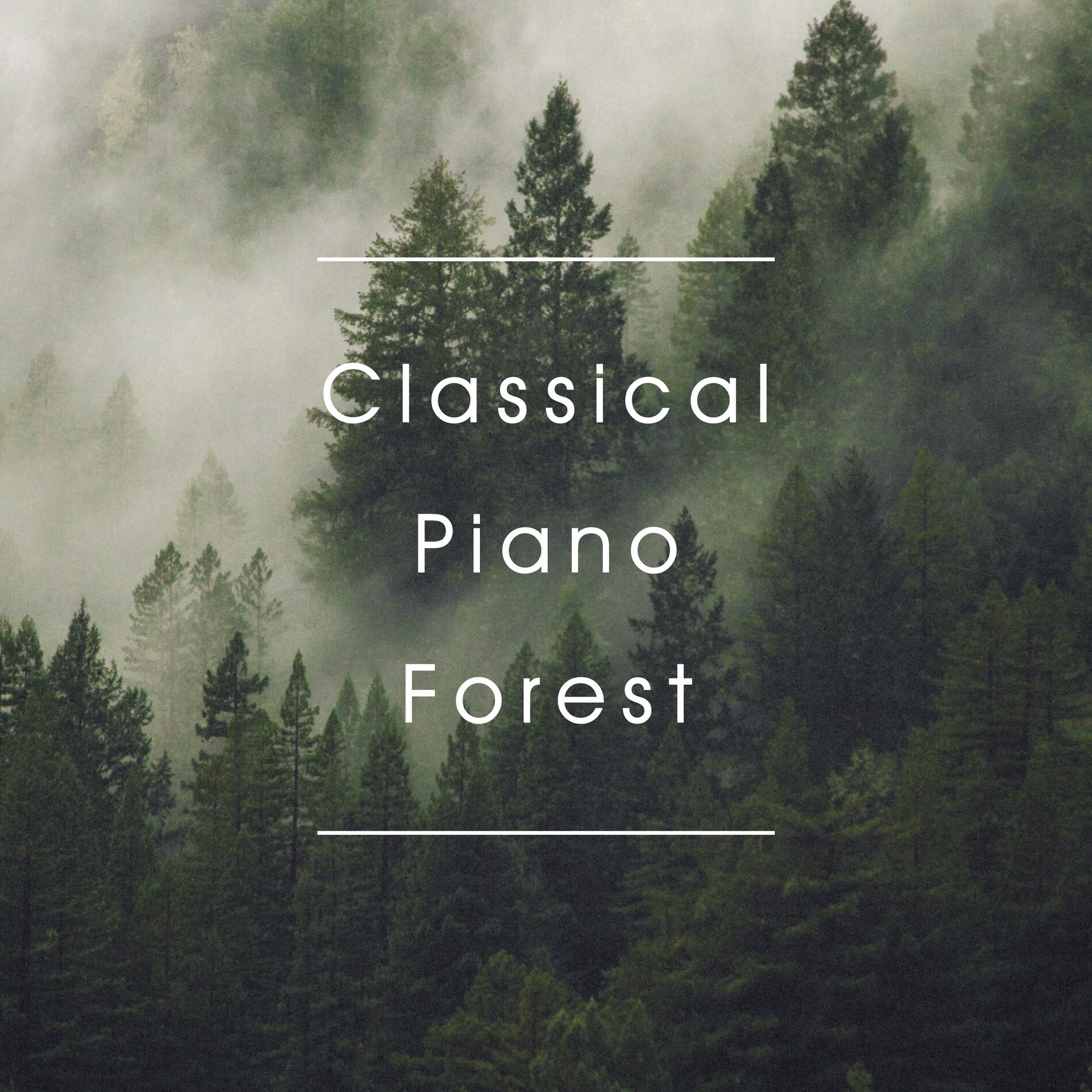 Album cover of Classical Piano Forest