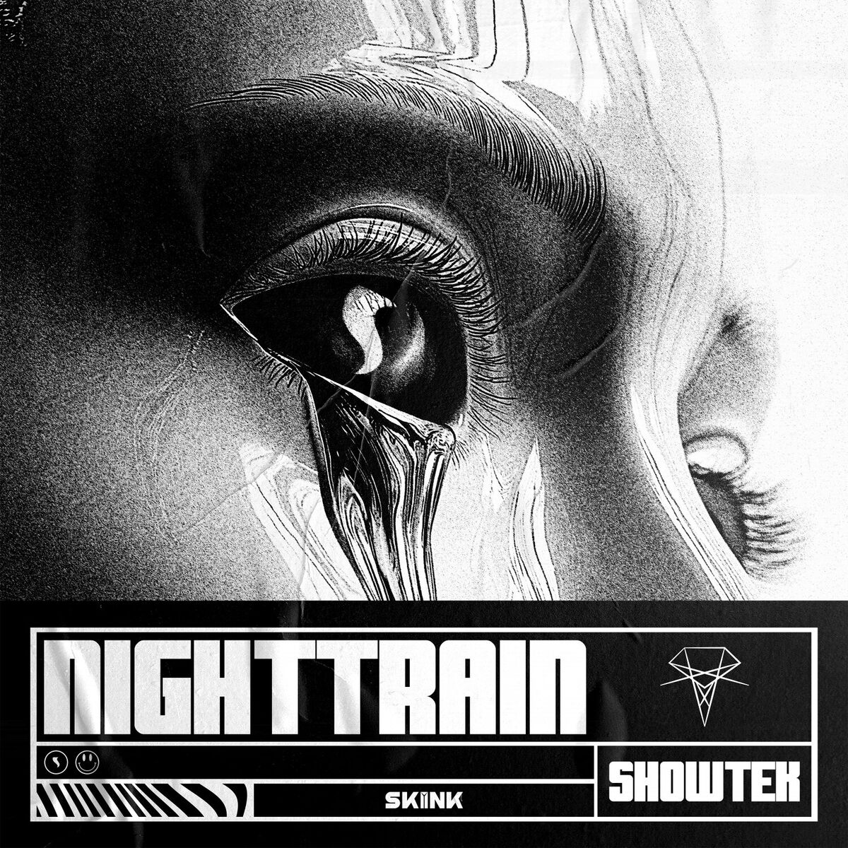 Album cover of Nighttrain