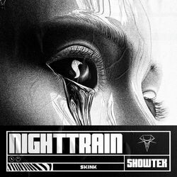 Cover of Nighttrain