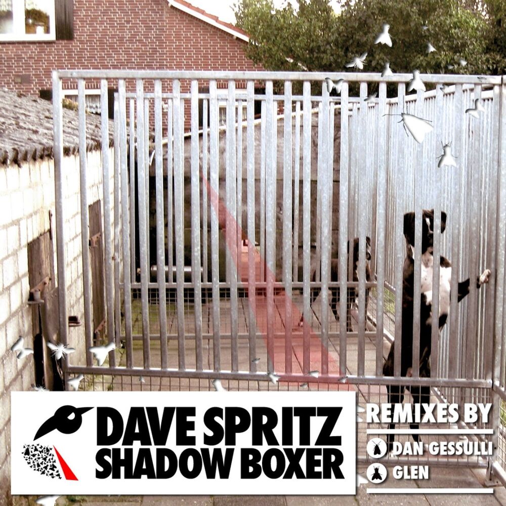 Picture of Shadow Boxer