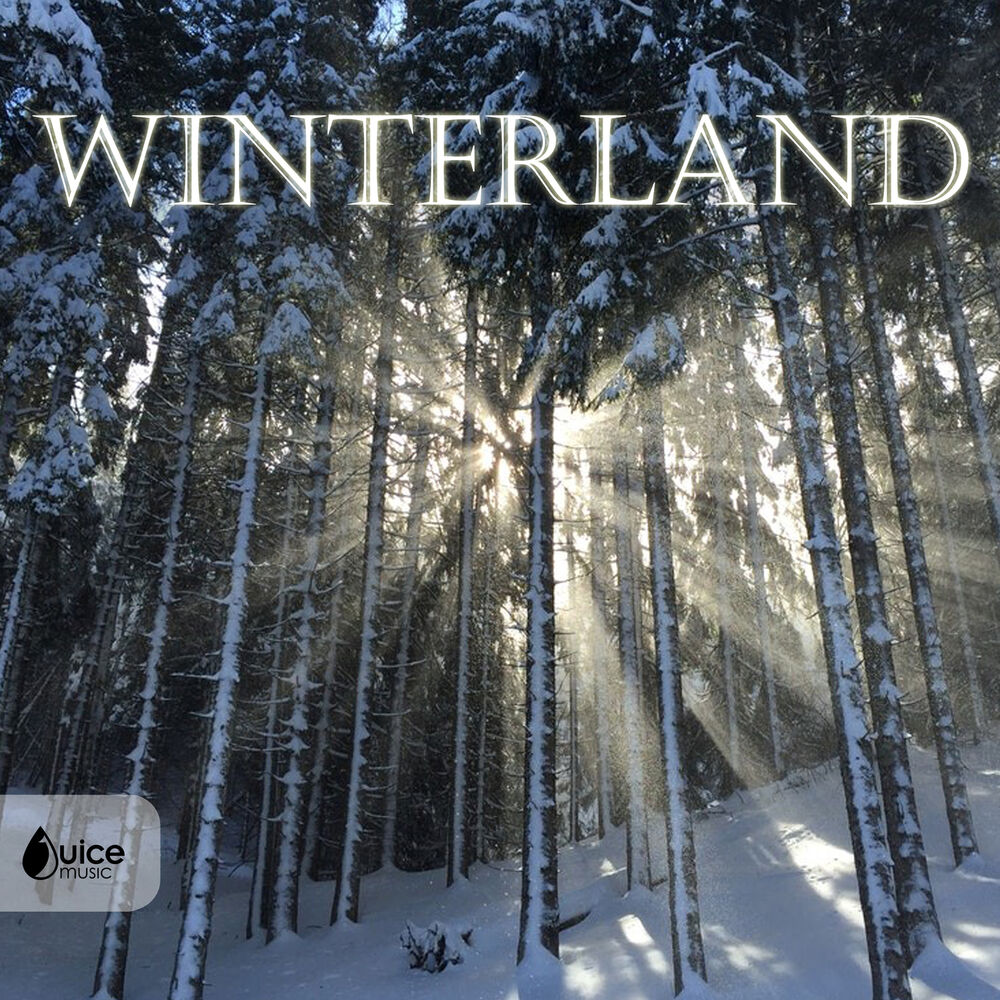 Picture of Winterland