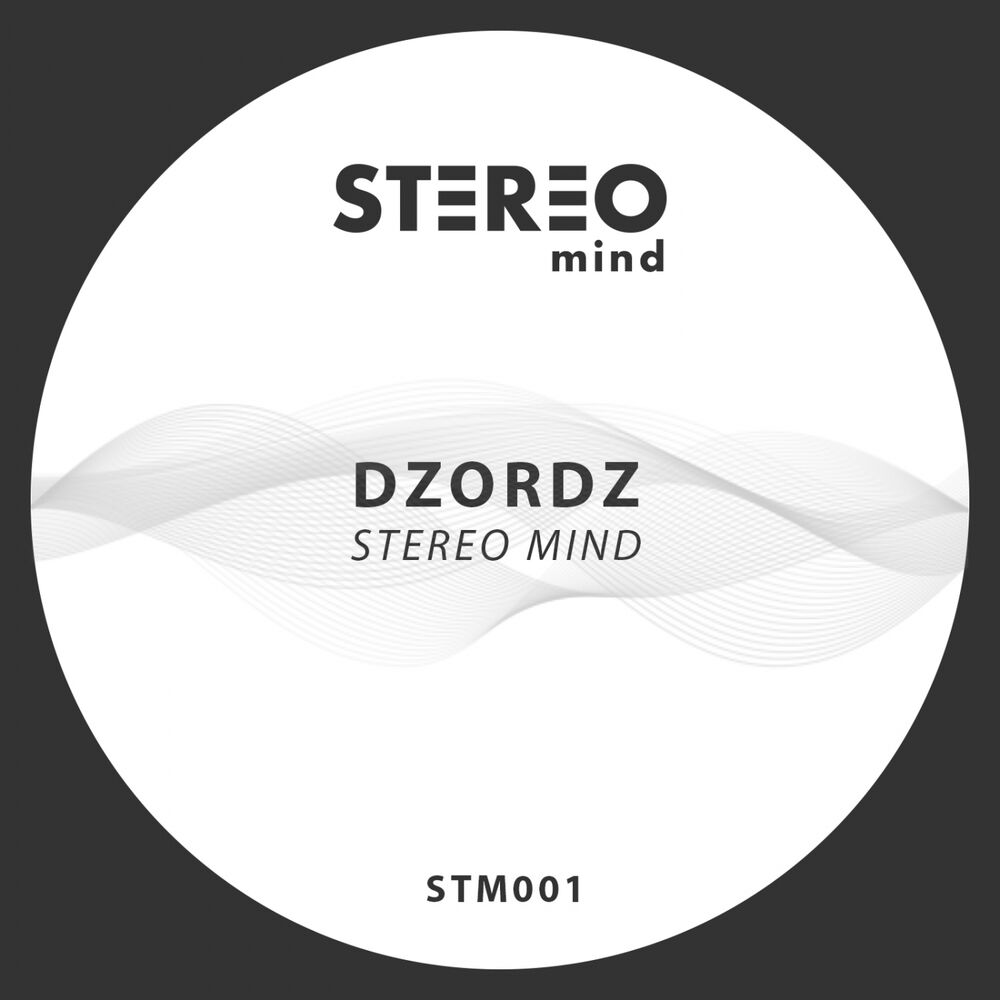 Picture of Stereo Mind