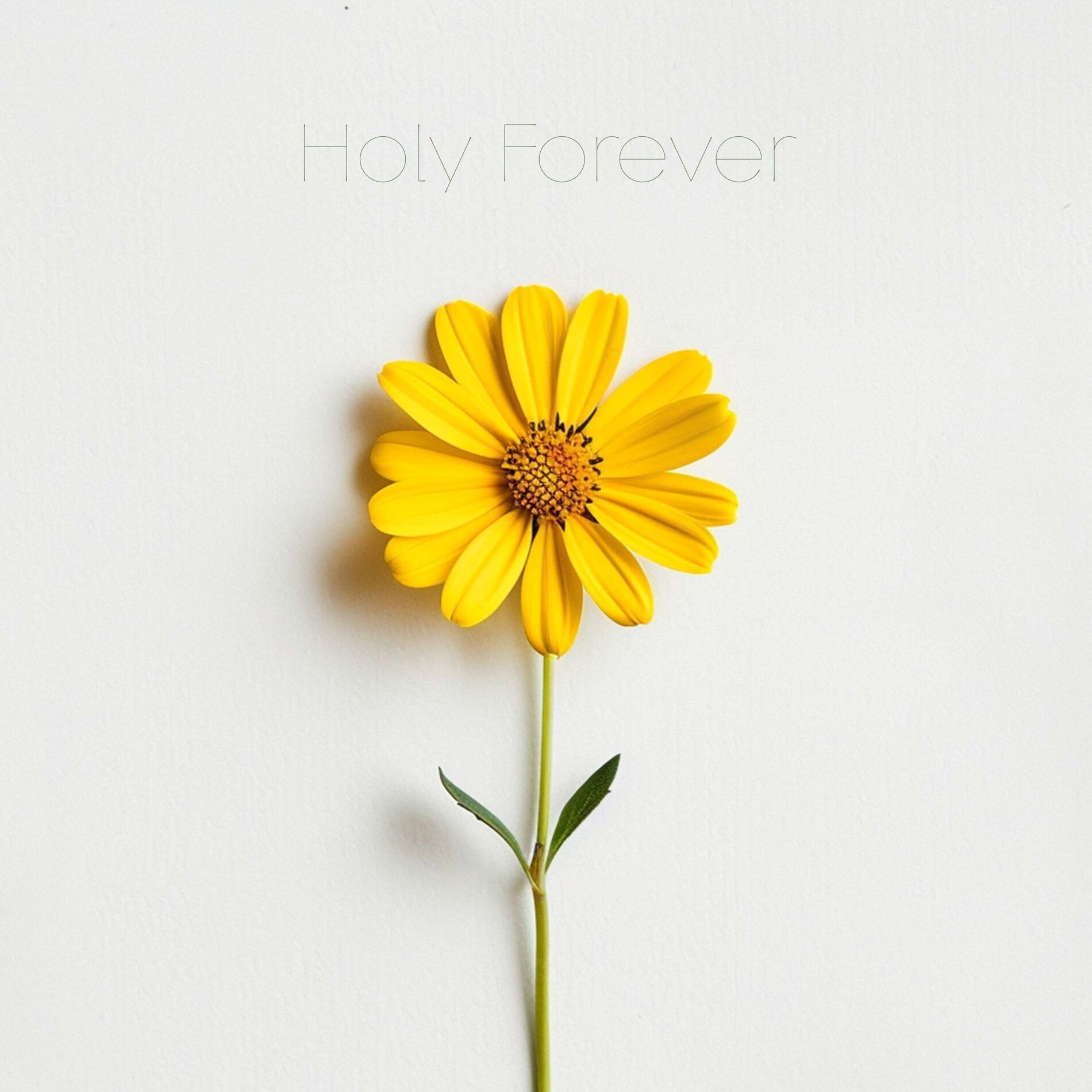 Album cover of Holy Forever