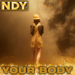 Cover of Your Body