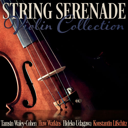 Sonata in G Minor, Op. 19: III. Andante (Arr. for Violin and Piano) by Hideko Udagawa - 96 BPM
