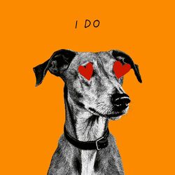 Cover of I Do