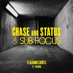 Cover of Flashing Lights