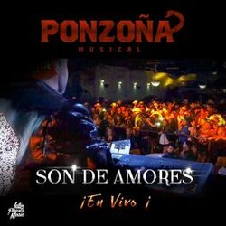 Cover of Son De Amores (En Vivo)