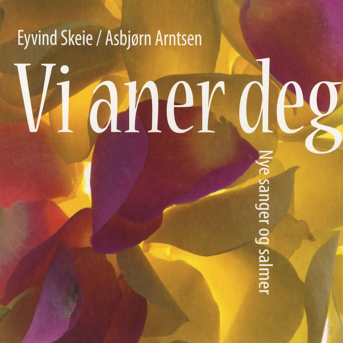 Album cover of Vi Aner Deg - Nye Sanger Og Salmer