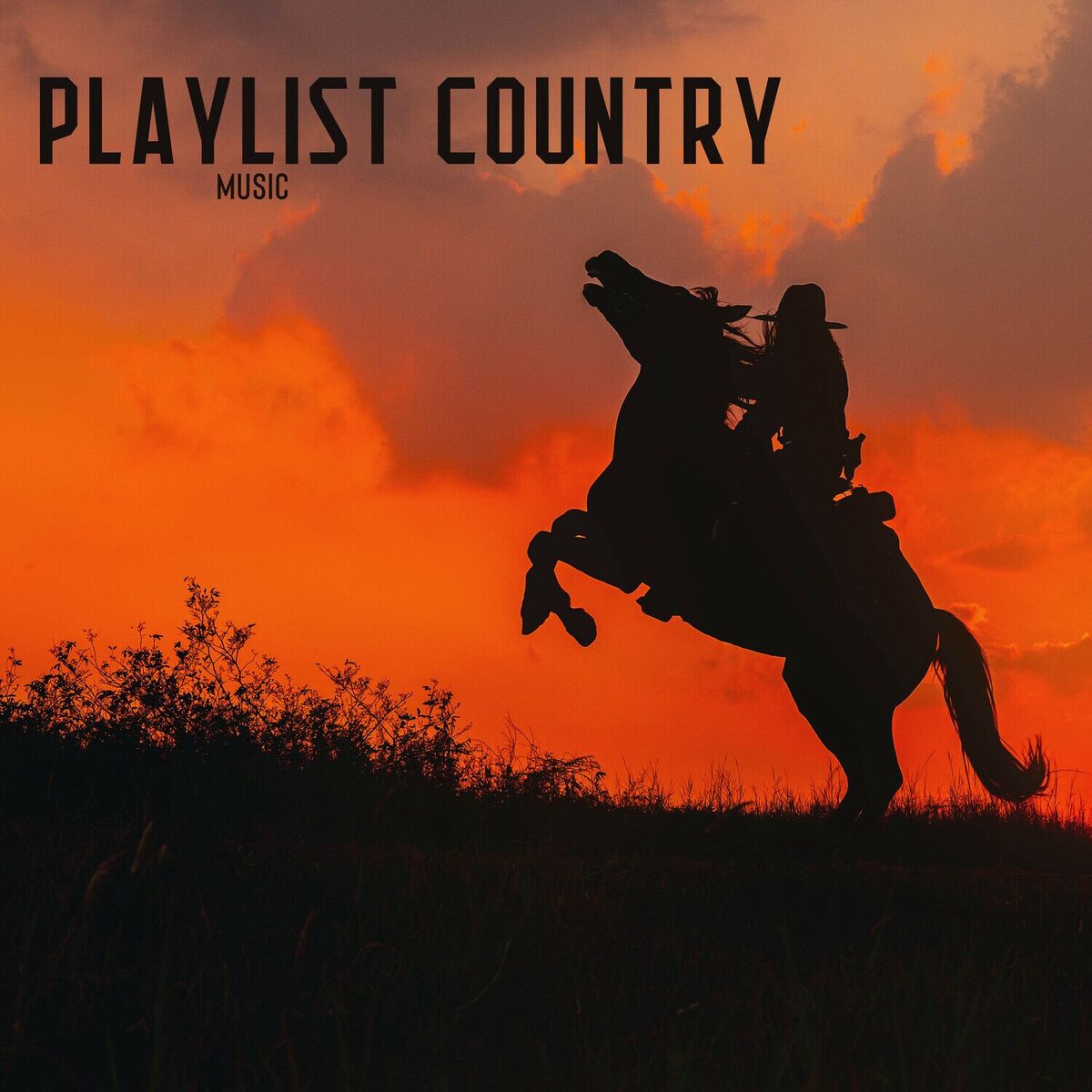 Johnny Country Playlist Country Music lyrics and songs Deezer