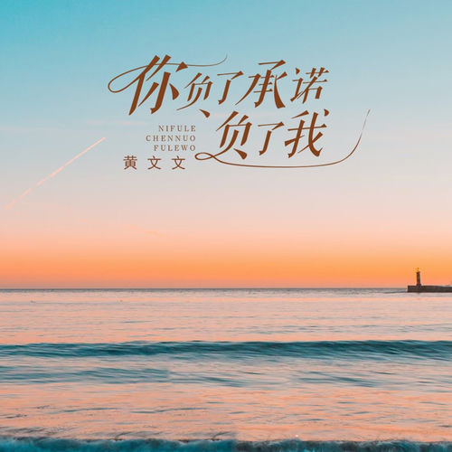 你负了承诺负了我