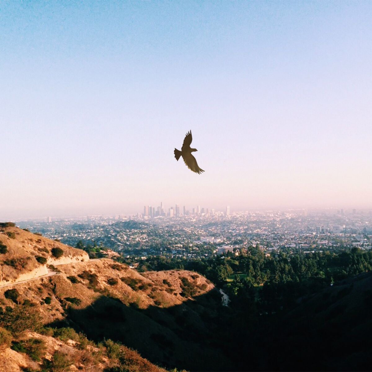 Album cover of Eagles