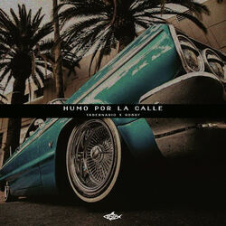Cover of Humo por la Calle